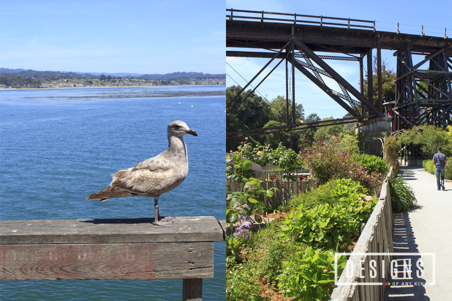 Around Town | Beach life of Capitola, Caflifornia | Designs of Any Kind